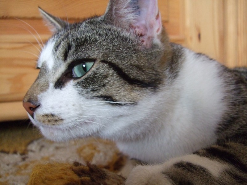 Ostern 2007 Orleshausen 152 